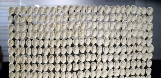 Artista mexicana exhibirá obra inspirada en personas transgénero en Londres