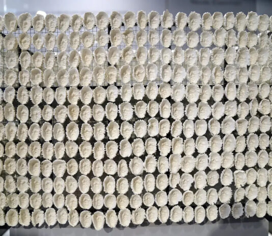 Artista mexicana exhibirá obra inspirada en personas transgénero en Londres