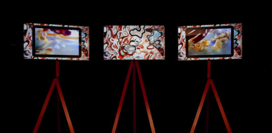 Anuncio ganadora del Premi Miquel Casablancas 2021