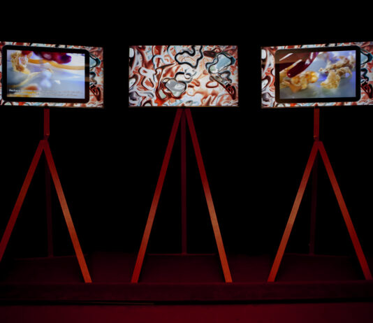 Anuncio ganadora del Premi Miquel Casablancas 2021