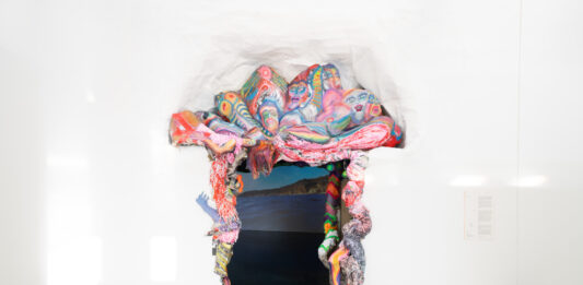 «Apunts per a un incendi dels ulls», Panorama 21 en el MACBA