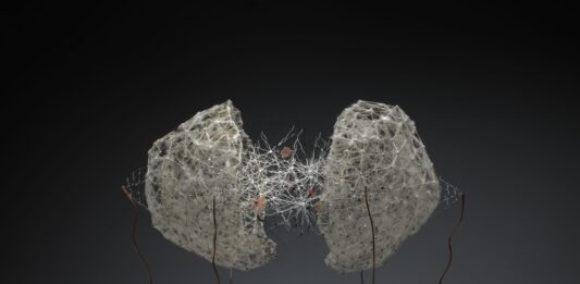 Antonio Crespo Foix expone en Michel Soskine