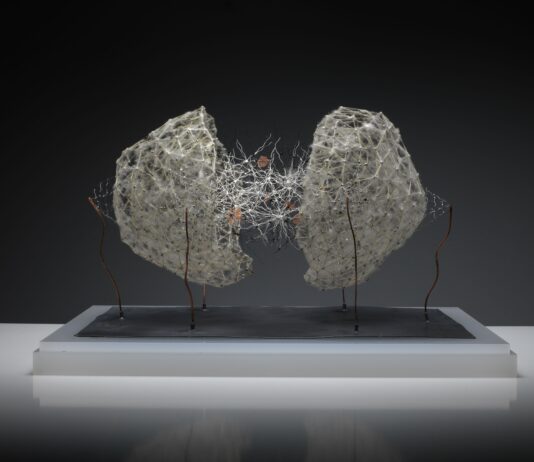 Antonio Crespo Foix expone en Michel Soskine