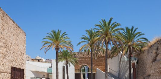 Es Baluard (Palma de Mallorca) celebra la 9a sesión de I-CorDes