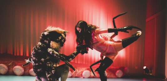 MACBA; actividades performativas del otoño