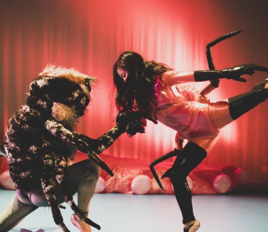 MACBA; actividades performativas del otoño