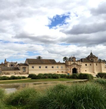 Convocatoria abierta para la nueva dirección del CAAC (Sevilla)