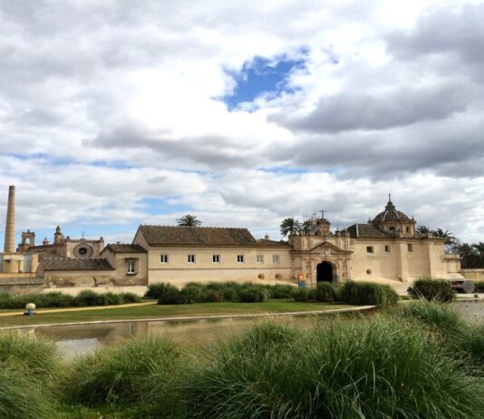 Convocatoria abierta para la nueva dirección del CAAC (Sevilla)