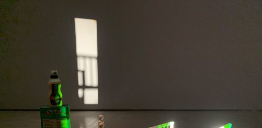 Eulàlia Valldosera en el MACA