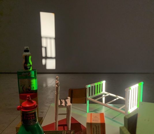 Eulàlia Valldosera en el MACA