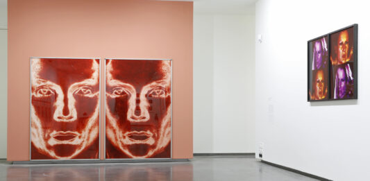 Joseph Beuys en el Museo Helga de Alvear