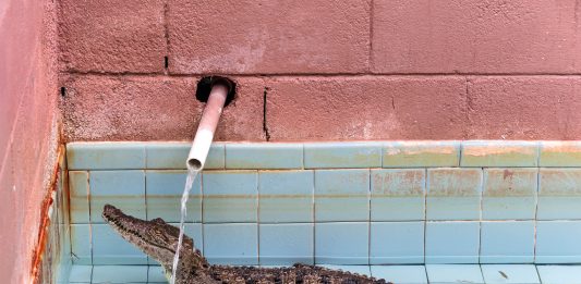 Anastasia Samoylova inaugura en Sabrina Amrani (Madrid) la semana que viene