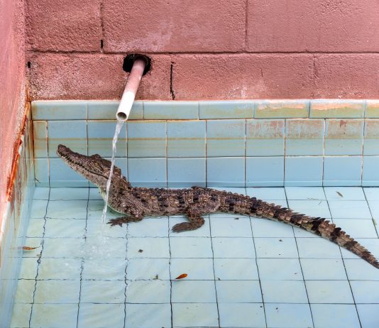 Anastasia Samoylova inaugura en Sabrina Amrani (Madrid) la semana que viene