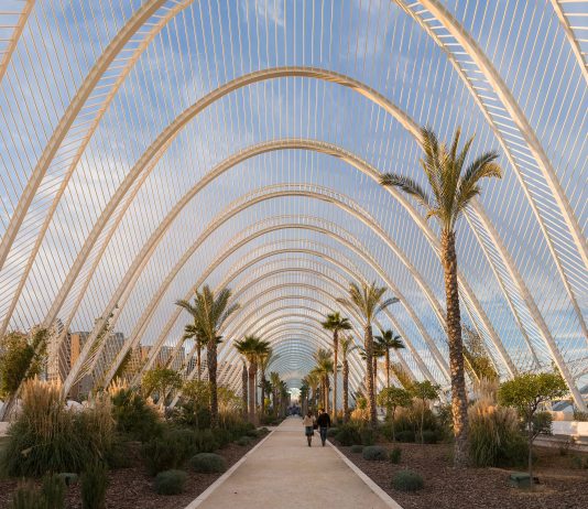 Queda una semana para participar en 6 convocatorias del CMCV