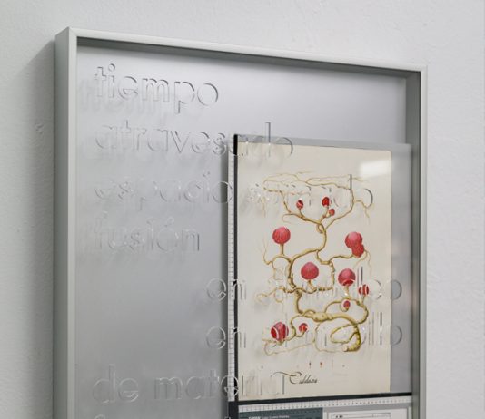 Twin Gallery (Madrid) inaugura un nuevo proyecto curatorial