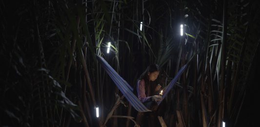 La Fundació Han Nefkens (Barcelona) anuncia la nueva edición del South Asian Video Art Production Grant