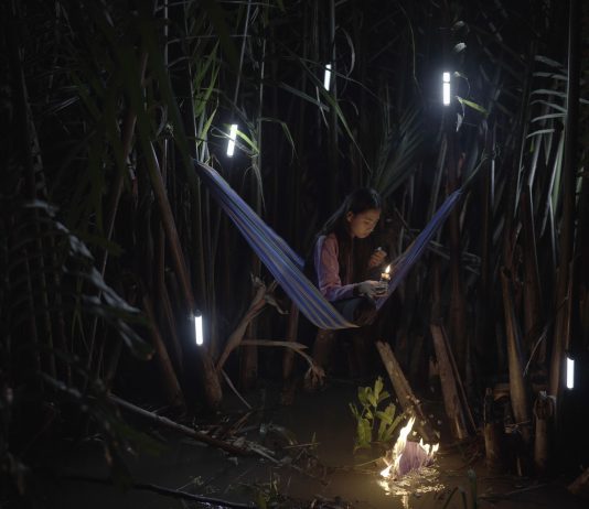 La Fundació Han Nefkens (Barcelona) anuncia la nueva edición del South Asian Video Art Production Grant