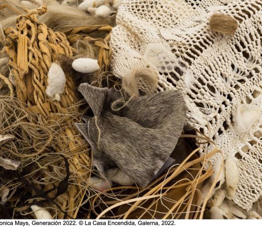 Abierta la inscripción a Generación 2023