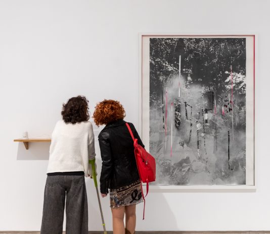 Michael Jenkins y Javier Romero donan 291 obras al MACA (Alacant)