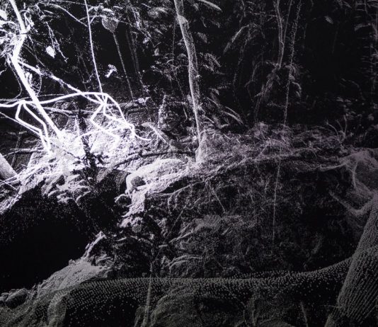 LOOP Barcelona anuncia las fechas y el tema de la edición 2022