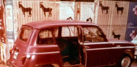 ADN Galeria presenta la segunda exposición individual del artista Alán Carrasco