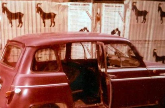 ADN Galeria presenta la segunda exposición individual del artista Alán Carrasco