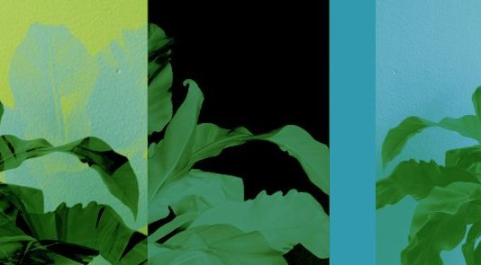 El Centro Huarte (Navarra) convoca una residencia de investigación curatorial