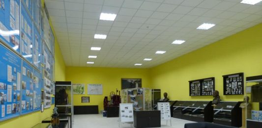 Rusia destruye un museo con obras de la artista María Prymachenko