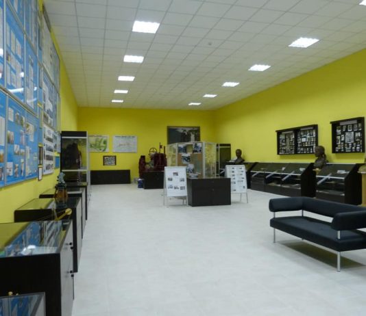 Rusia destruye un museo con obras de la artista María Prymachenko