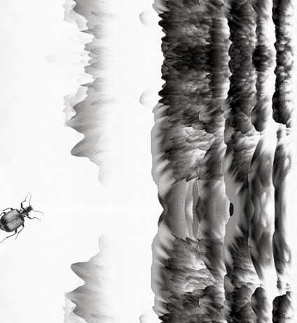 El Bòlit de Girona inaugura «Insectòdrom»