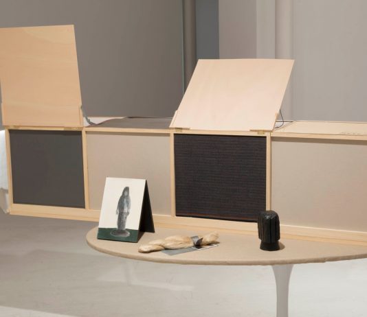 Últimos días para ver «Ocelo» de Victoria Civera