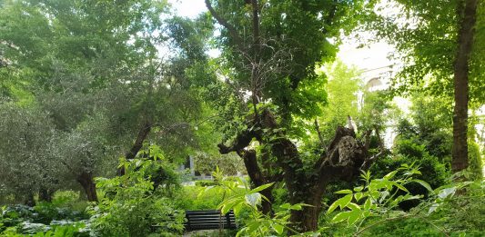 Alejandra Riera presenta un nuevo proyecto en el Reina Sofía