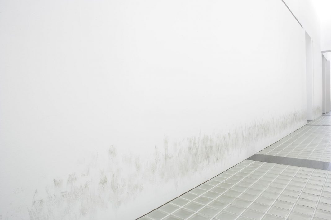 Personas-Macba