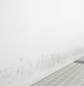 Del MACBA a Can Felipa: la larga disputa por las buenas prácticas en la cultura pública barcelonesa