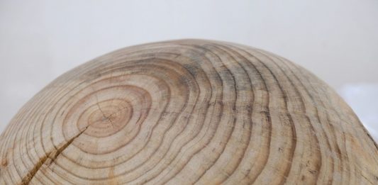 El IVAM (València) dedica una exposición a Mar Arza