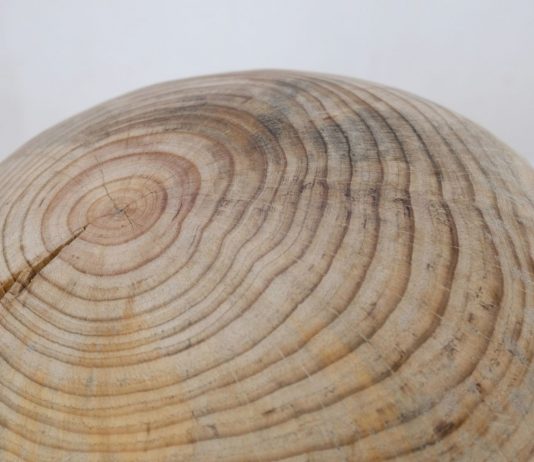 El IVAM (València) dedica una exposición a Mar Arza