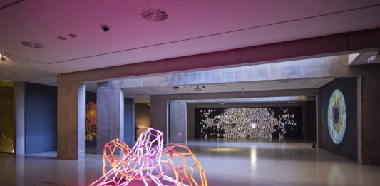 Últimas semanas para ver la exposición de Anaisa Franco en el CAB (Burgos)