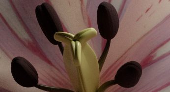 Próximamente ‘Criaturas vulnerables’ se inaugura en La Casa Encendida (Madrid)
