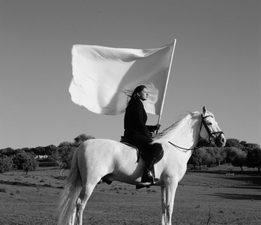 Marina Abramovic lanza su primer trabajo NFT, comenzando con Hero