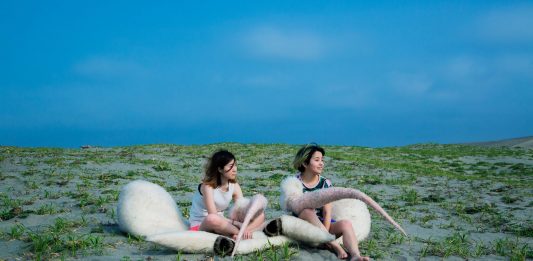 ‘La clausura del cuerpo,’ primera exposición de videoarte japonés en Alacant