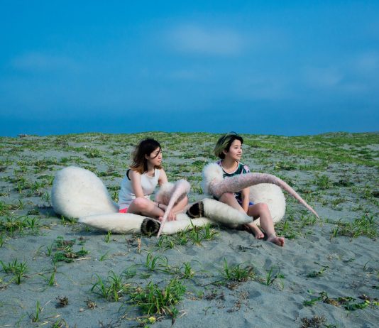 ‘La clausura del cuerpo,’ primera exposición de videoarte japonés en Alacant