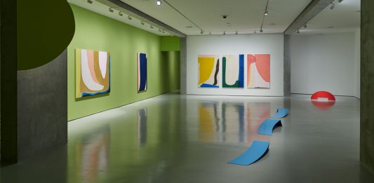 ‘Verde llano, rosa oblicuo’ de Elvira Amor en el CAB Burgos