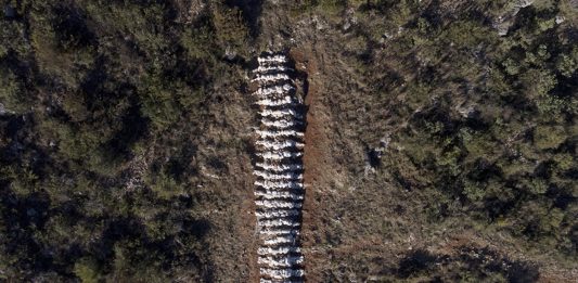 El CMCV abre inscripciones a sus convocatorias artísticas en Valencia