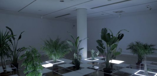 ‘El mundo es bosque / El mundu ye viesca’ en LABoral (Gijón)