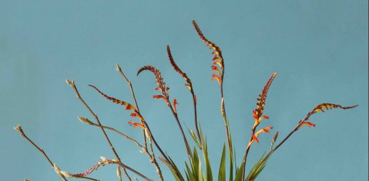 El Disseny Hub Barcelona presenta la colección de ‘Tot Cor’