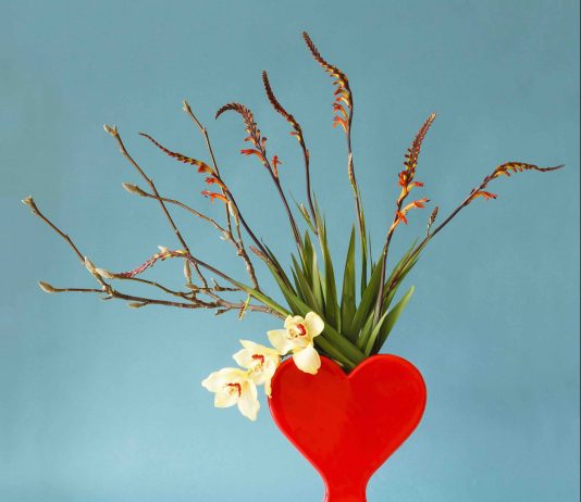 El Disseny Hub Barcelona presenta la colección de ‘Tot Cor’