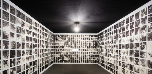 Último mes para visitar las exposiciones de Oriol Vilapuig y Èlia Llach en La Virreina