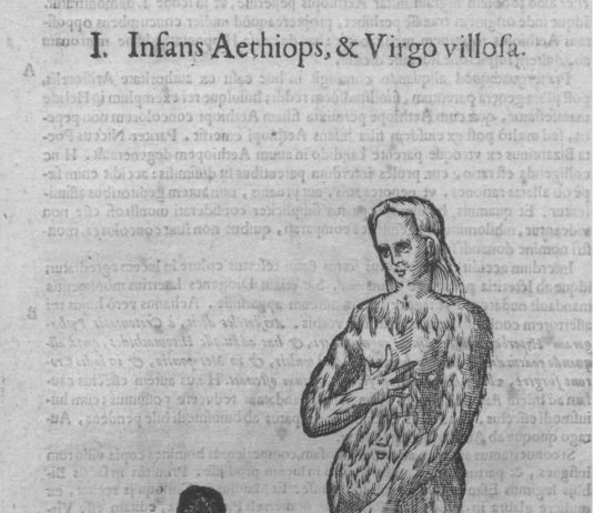 Agustín Ortiz Herrera presenta una exposición en Espai Souvenir (Barcelona)