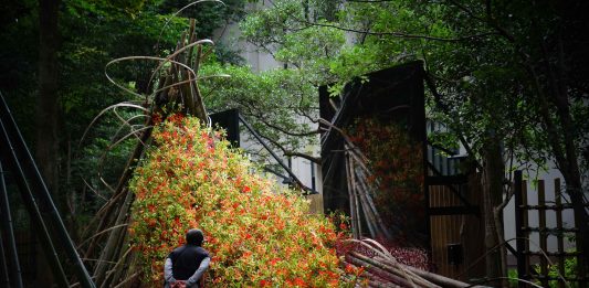La 5a edición del festival FLORA llega a Córdoba