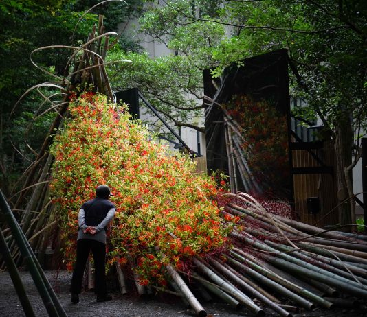 La 5a edición del festival FLORA llega a Córdoba